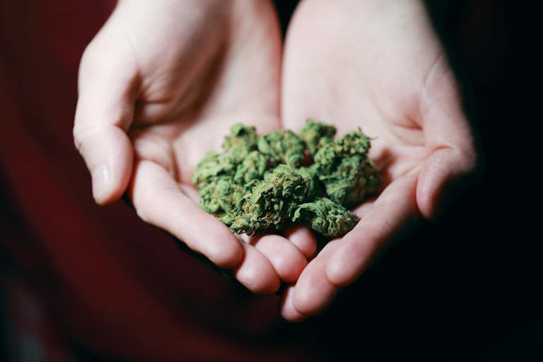 Ποιες είναι οι κύριες διαφορές μεταξύ CBD και THC